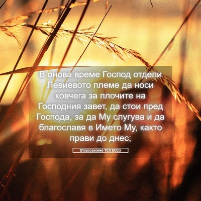 Picture 05 - Второзаконие 10:8 BULG - В онова време Господ - Bible Verse Picture