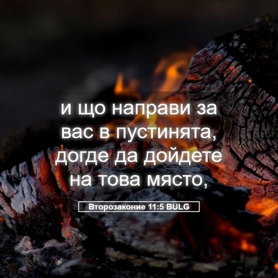 Picture 05 - Второзаконие 11:5 BULG - и що направи за вас в - Bible Verse Picture