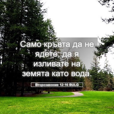 Picture 05 - Второзаконие 12:16 BULG - Само кръвта да не ядете; да - Bible Verse Picture