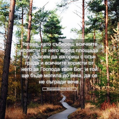Picture 05 - Второзаконие 13:16 BULG - Тогава, като събереш - Bible Verse Picture