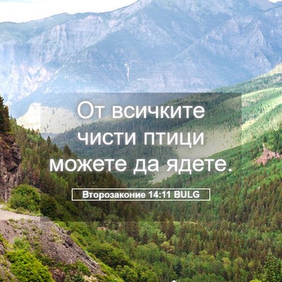 Picture 05 - Второзаконие 14:11 BULG - От всичките чисти птици - Bible Verse Picture