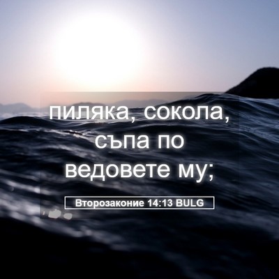 Picture 05 - Второзаконие 14:13 BULG - пиляка, сокола, съпа по - Bible Verse Picture