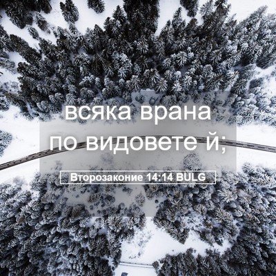 Picture 05 - Второзаконие 14:14 BULG - всяка врана по видовете - Bible Verse Picture