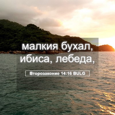 Picture 05 - Второзаконие 14:16 BULG - малкия бухал, ибиса, - Bible Verse Picture