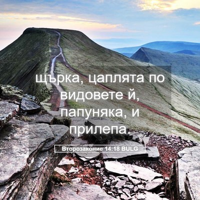 Picture 05 - Второзаконие 14:18 BULG - щърка, цаплята по видовете - Bible Verse Picture