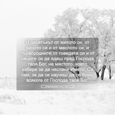 Picture 05 - Второзаконие 14:23 BULG - И десетъкът от житото си, - Bible Verse Picture