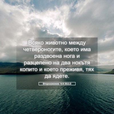 Picture 05 - Второзаконие 14:6 BULG - Всяко животно между - Bible Verse Picture