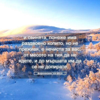 Picture 05 - Второзаконие 14:8 BULG - и свинята, понеже има - Bible Verse Picture