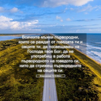 Picture 05 - Второзаконие 15:19 BULG - Всичките мъжки първородни, - Bible Verse Picture