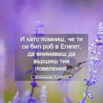 Picture 05 - Второзаконие 16:12 BULG - И като помниш, че ти си бил - Bible Verse Picture
