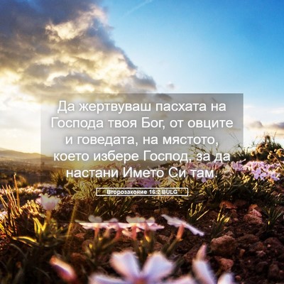Picture 05 - Второзаконие 16:2 BULG - Да жертвуваш пасхата на - Bible Verse Picture