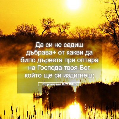 Picture 05 - Второзаконие 16:21 BULG - Да си не садиш дъбрава+ от - Bible Verse Picture