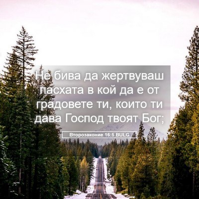 Picture 05 - Второзаконие 16:5 BULG - Не бива да жертвуваш - Bible Verse Picture