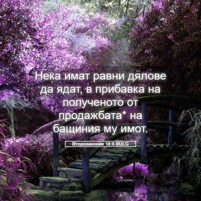 Picture 05 - Второзаконие 18:8 BULG - Нека имат равни дялове да - Bible Verse Picture