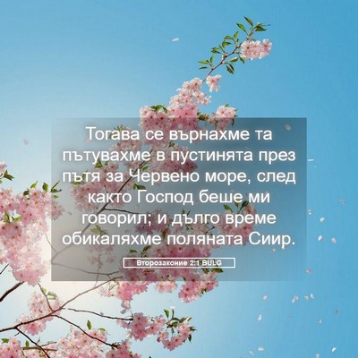 Picture 05 - Второзаконие 2:1 BULG - Тогава се върнахме та - Bible Verse Picture