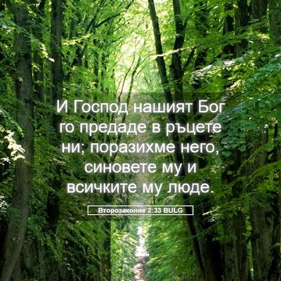 Picture 05 - Второзаконие 2:33 BULG - И Господ нашият Бог го - Bible Verse Picture