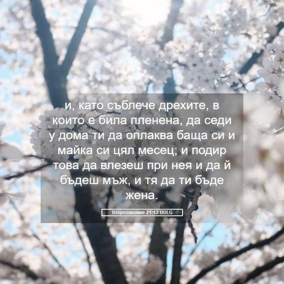 Picture 05 - Второзаконие 21:13 BULG - и, като съблече дрехите, в - Bible Verse Picture