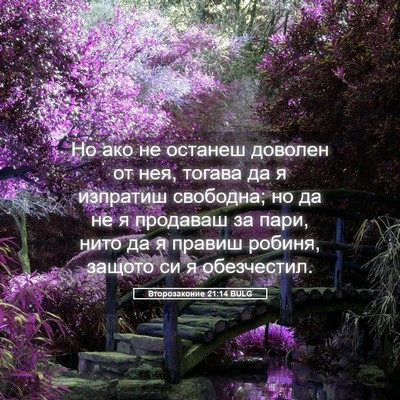 Picture 05 - Второзаконие 21:14 BULG - Но ако не останеш доволен - Bible Verse Picture