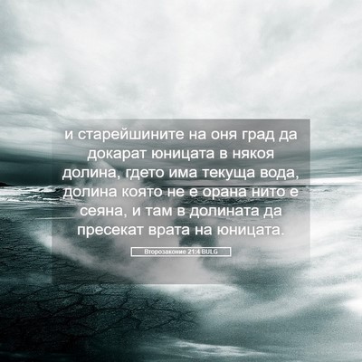 Picture 05 - Второзаконие 21:4 BULG - и старейшините на оня град - Bible Verse Picture