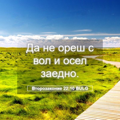 Picture 05 - Второзаконие 22:10 BULG - Да не ореш с вол и осел - Bible Verse Picture