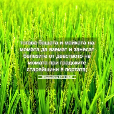 Picture 05 - Второзаконие 22:15 BULG - тогава бащата и майката на - Bible Verse Picture