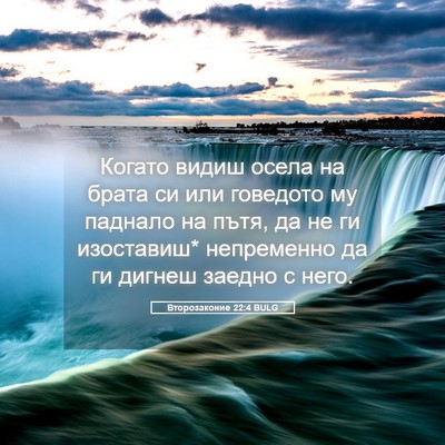 Picture 05 - Второзаконие 22:4 BULG - Когато видиш осела на - Bible Verse Picture