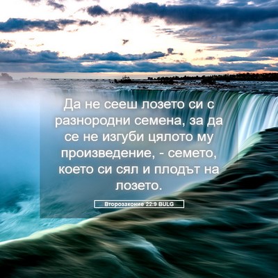 Picture 05 - Второзаконие 22:9 BULG - Да не сееш лозето си с - Bible Verse Picture