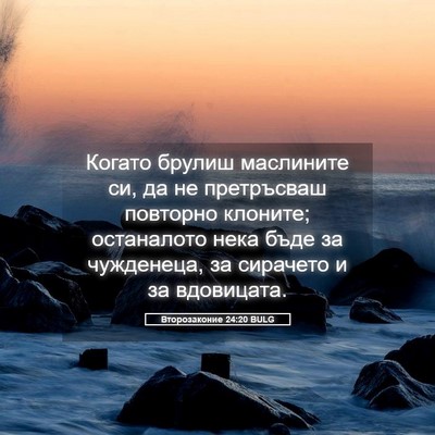 Picture 05 - Второзаконие 24:20 BULG - Когато брулиш маслините - Bible Verse Picture