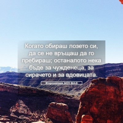 Picture 05 - Второзаконие 24:21 BULG - Когато обираш лозето си, да - Bible Verse Picture