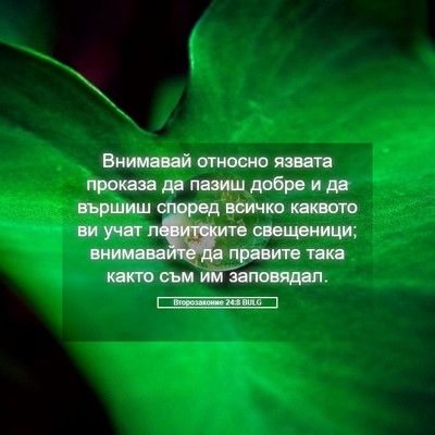 Picture 05 - Второзаконие 24:8 BULG - Внимавай относно язвата - Bible Verse Picture