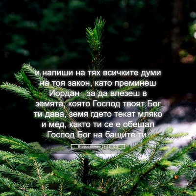 Picture 05 - Второзаконие 27:3 BULG - и напиши на тях всичките - Bible Verse Picture