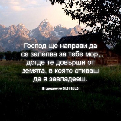 Picture 05 - Второзаконие 28:21 BULG - Господ ще направи да се - Bible Verse Picture