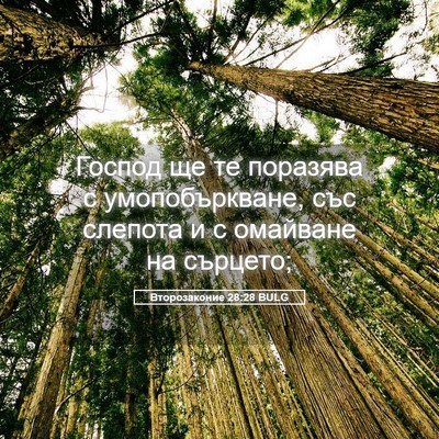 Picture 05 - Второзаконие 28:28 BULG - Господ ще те поразява с - Bible Verse Picture