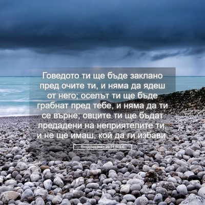 Picture 05 - Второзаконие 28:31 BULG - Говедото ти ще бъде - Bible Verse Picture