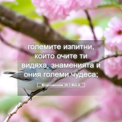Picture 05 - Второзаконие 29:3 BULG - големите изпитни, които - Bible Verse Picture