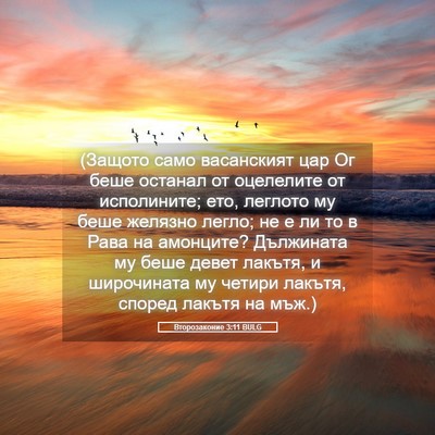 Picture 05 - Второзаконие 3:11 BULG - (Защото само васанският - Bible Verse Picture