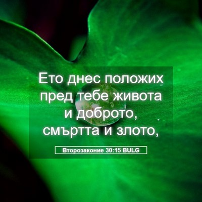 Picture 05 - Второзаконие 30:15 BULG - Ето днес положих пред тебе - Bible Verse Picture