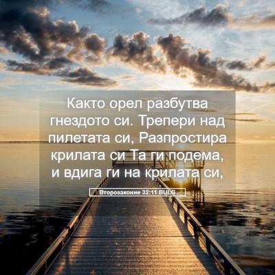 Picture 05 - Второзаконие 32:11 BULG - Както орел разбутва - Bible Verse Picture