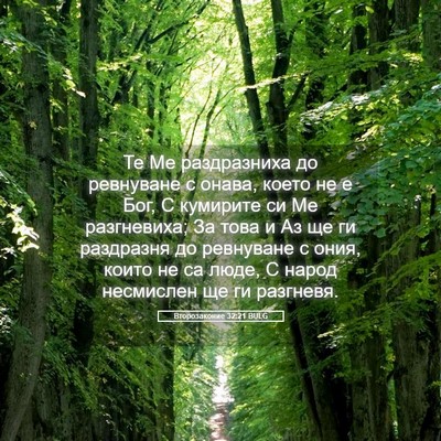 Picture 05 - Второзаконие 32:21 BULG - Те Ме раздразниха до - Bible Verse Picture
