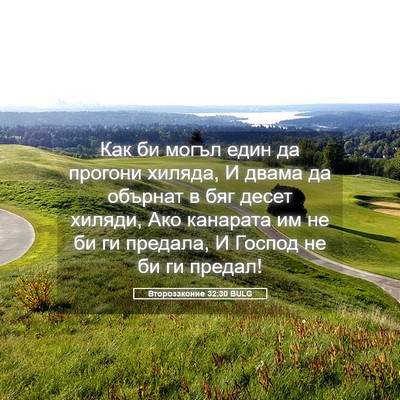 Picture 05 - Второзаконие 32:30 BULG - Как би могъл един да - Bible Verse Picture