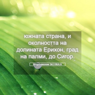 Picture 05 - Второзаконие 34:3 BULG - южната страна, и - Bible Verse Picture