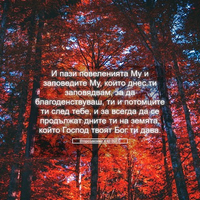 Picture 05 - Второзаконие 4:40 BULG - И пази повеленията Му и - Bible Verse Picture