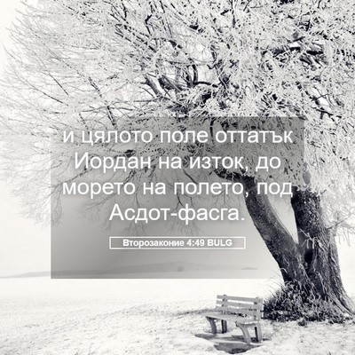 Picture 05 - Второзаконие 4:49 BULG - и цялото поле оттатък - Bible Verse Picture