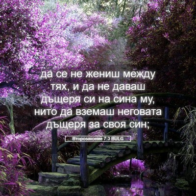 Picture 05 - Второзаконие 7:3 BULG - да се не жениш между тях, и - Bible Verse Picture