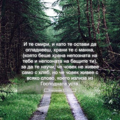 Picture 05 - Второзаконие 8:3 BULG - И те смири, и като те остави - Bible Verse Picture