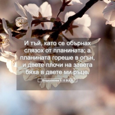 Picture 05 - Второзаконие 9:15 BULG - И тъй, като се обърнах - Bible Verse Picture