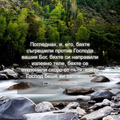 Picture 05 - Второзаконие 9:16 BULG - Погледнах, и, ето, бяхте - Bible Verse Picture