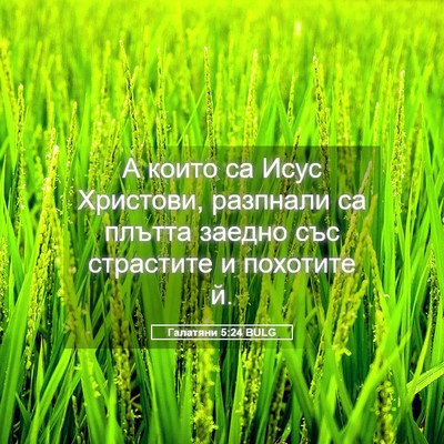 Picture 05 - Галатяни 5:24 BULG - А които са Исус Христови, - Bible Verse Picture