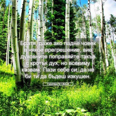Picture 05 - Галатяни 6:1 BULG - Братя, даже ако падне човек - Bible Verse Picture
