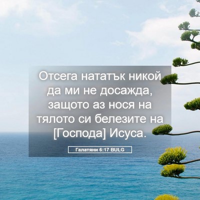 Picture 05 - Галатяни 6:17 BULG - Отсега нататък никой да ми - Bible Verse Picture